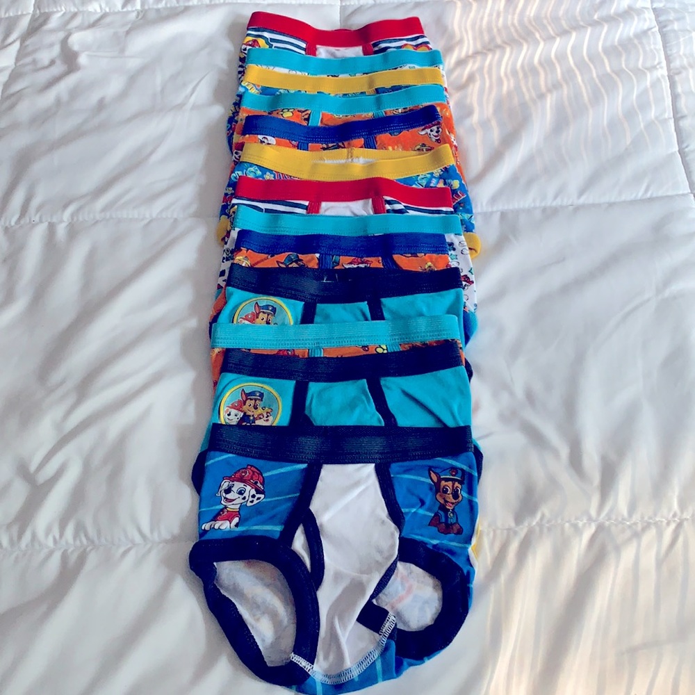 4t paw patrol undies.